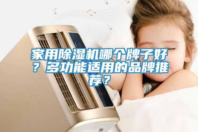 家用除濕機哪個牌子好?多功能適用的品牌推薦?