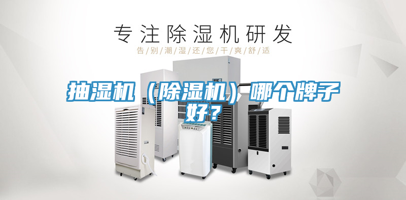 抽濕機(除濕機)哪個牌子好?