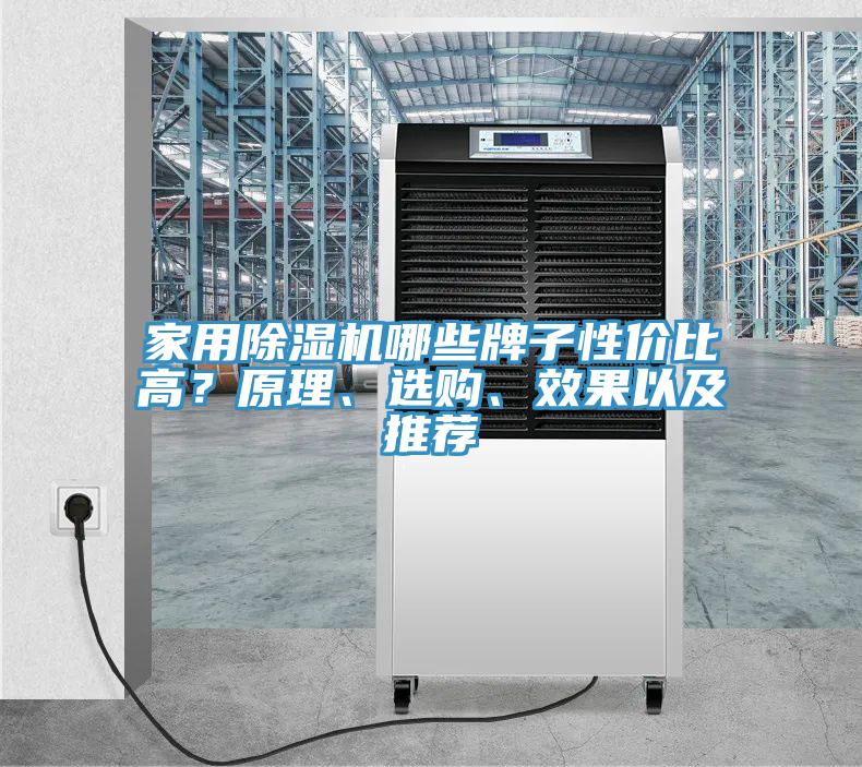 家用除濕機(jī)哪些牌子性價(jià)比高?原理、選購(gòu)、效果以及推薦