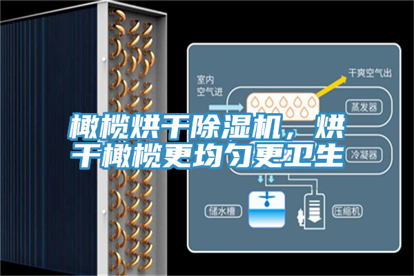 橄欖烘干除濕機(jī)，烘干橄欖更均勻更衛(wèi)生