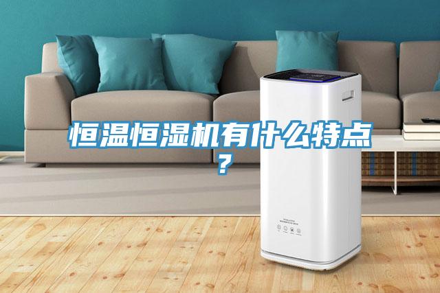 恒溫恒濕機有什么特點?