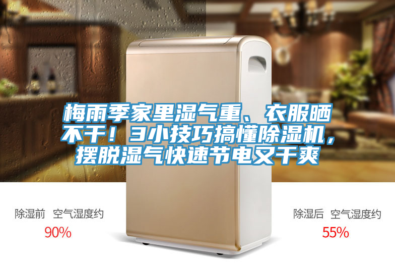 梅雨季家里濕氣重、衣服曬不干!3小技巧搞懂除濕機,擺脫濕氣快速節電又干爽