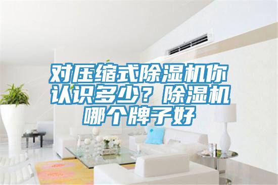 對壓縮式除濕機你認識多少?除濕機哪個牌子好