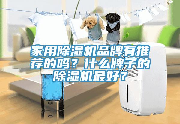 家用除濕機品牌有推薦的嗎?什么牌子的除濕機最好?