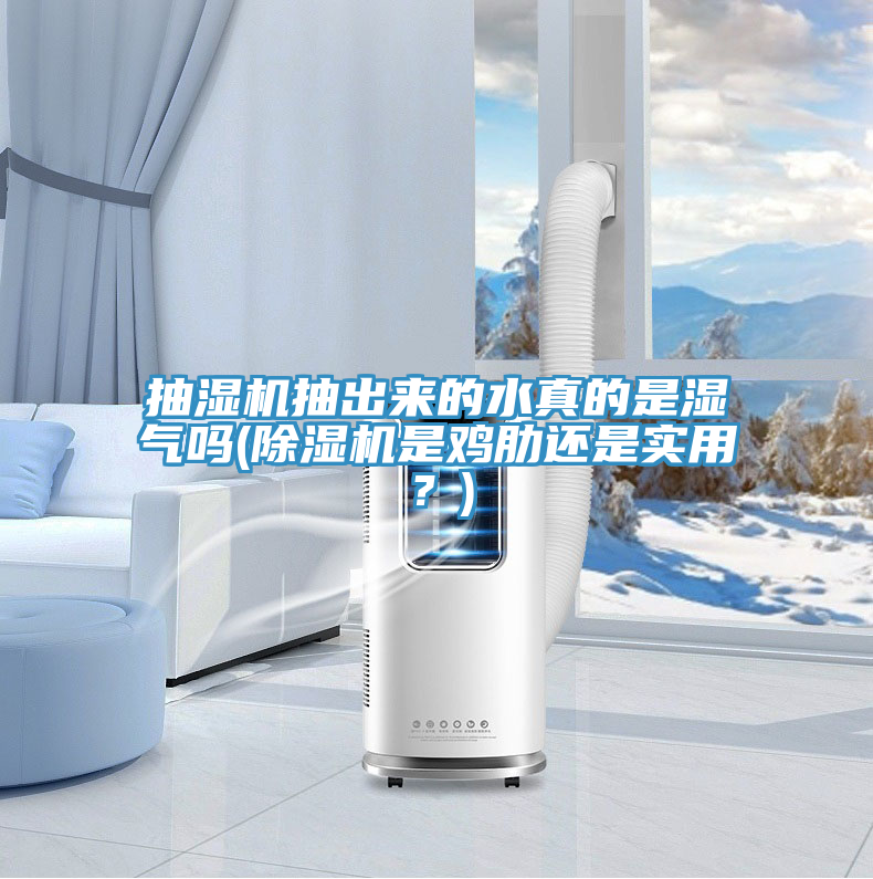 抽濕機抽出來的水真的是濕氣嗎(除濕機是雞肋還是實用？)