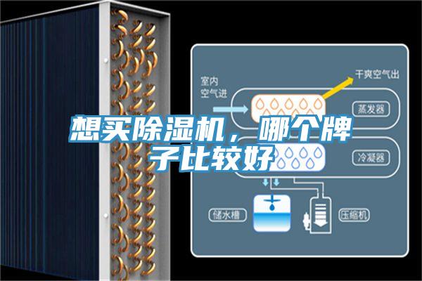 想買除濕機，哪個牌子比較好