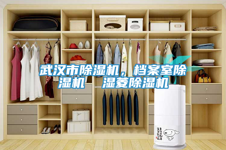 武漢市除濕機,檔案室除濕機 濕菱除濕機