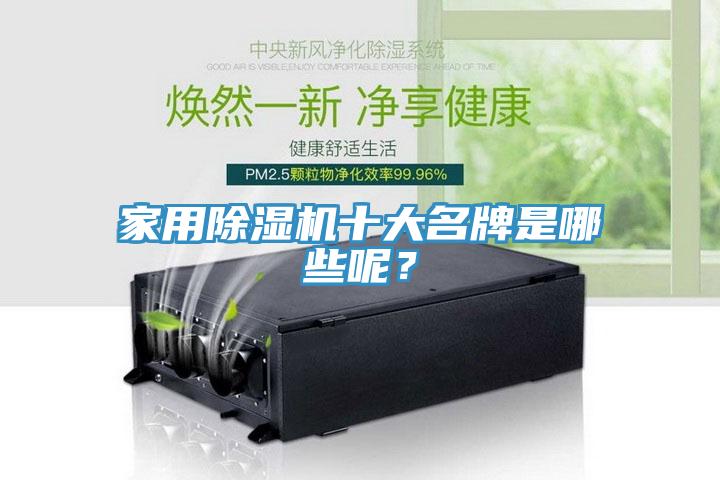 家用除濕機十大名牌是哪些呢？