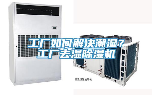 工廠如何解決潮濕?工廠去濕除濕機(jī)