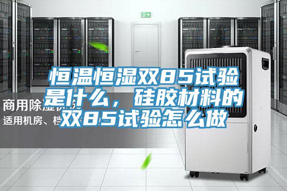 恒溫恒濕雙85試驗是什么，硅膠材料的雙85試驗怎么做