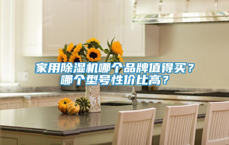 家用除濕機哪個品牌值得買?哪個型號性價比高?