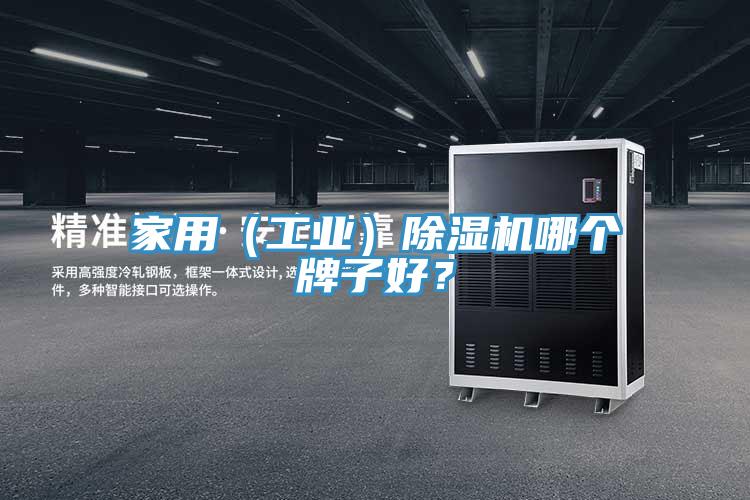 家用(工業)除濕機哪個牌子好?