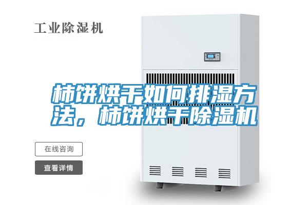 柿餅烘干如何排濕方法，柿餅烘干除濕機