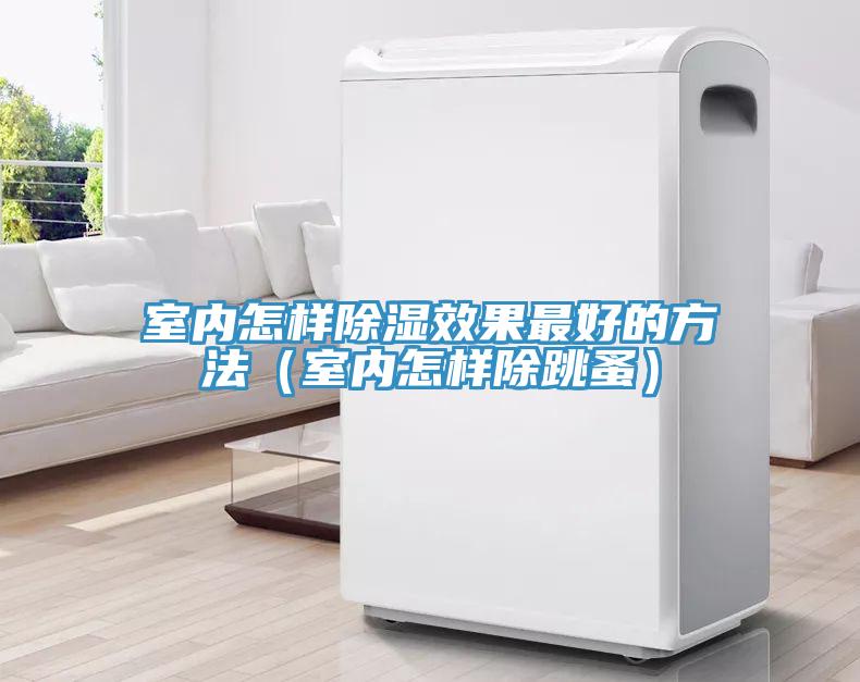 室內怎樣除濕效果最好的方法(室內怎樣除跳蚤)