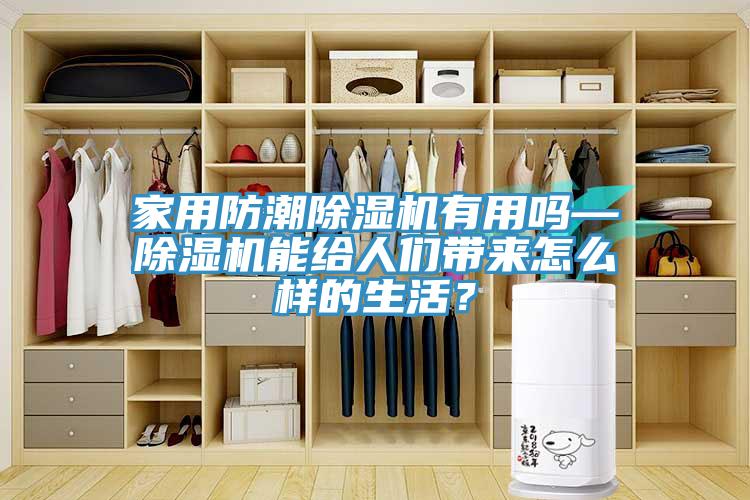 家用防潮除濕機有用嗎—除濕機能給人們帶來怎么樣的生活?
