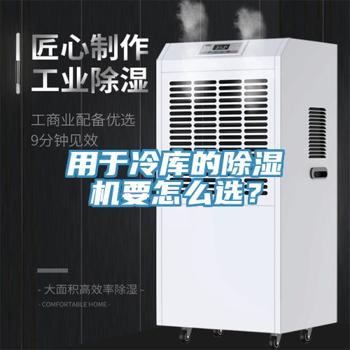 用于冷庫的除濕機要怎么選？