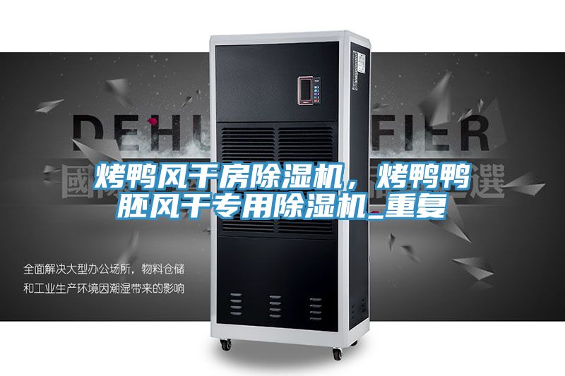 烤鴨風(fēng)干房除濕機,烤鴨鴨胚風(fēng)干專用除濕機_重復(fù)