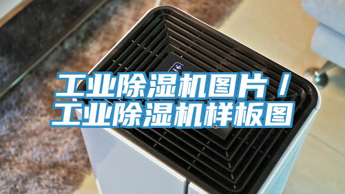 工業(yè)除濕機(jī)圖片/工業(yè)除濕機(jī)樣板圖