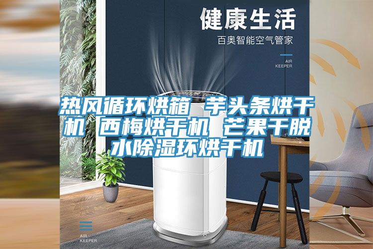 熱風(fēng)循環(huán)烘箱 芋頭條烘干機 西梅烘干機 芒果干脫水除濕環(huán)烘干機