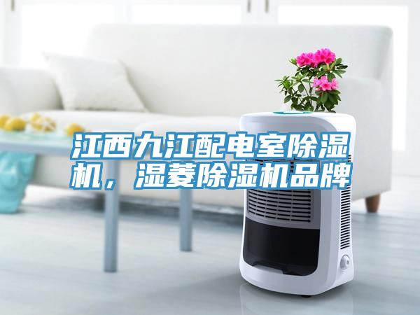 江西九江配電室除濕機(jī)，濕菱除濕機(jī)品牌