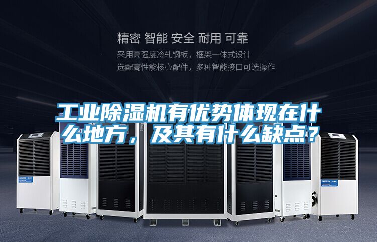 工業(yè)除濕機有優(yōu)勢體現(xiàn)在什么地方，及其有什么缺點？