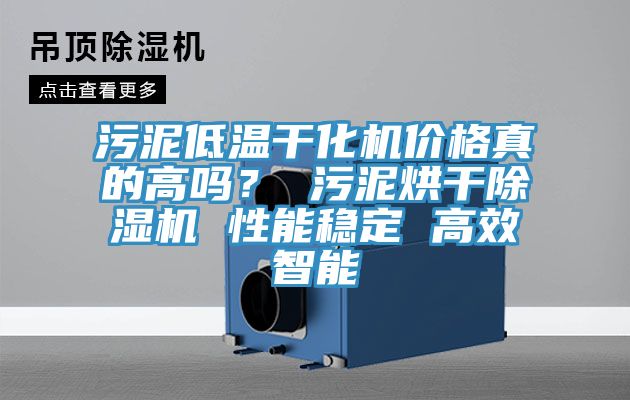 污泥低溫干化機(jī)價(jià)格真的高嗎？ 污泥烘干除濕機(jī) 性能穩(wěn)定 高效智能