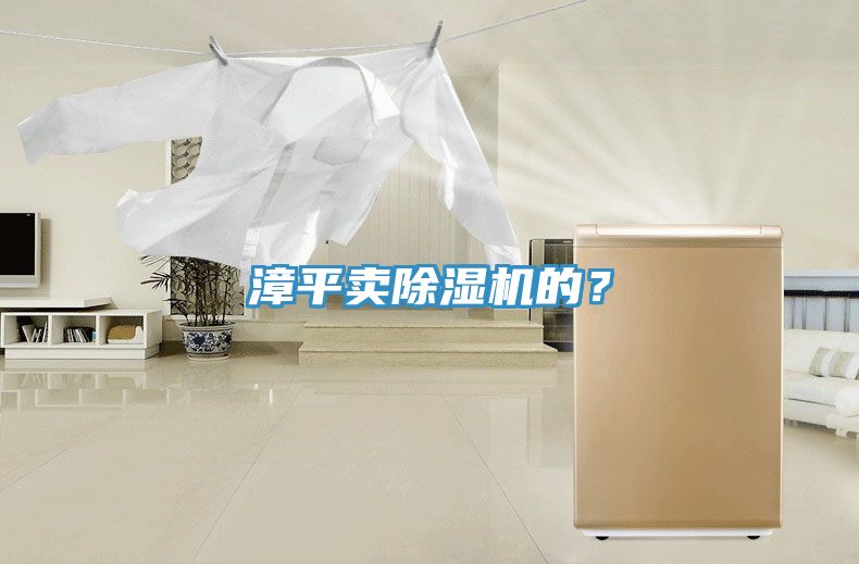 漳平賣除濕機的?