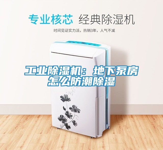 工業(yè)除濕機(jī):地下泵房怎么防潮除濕