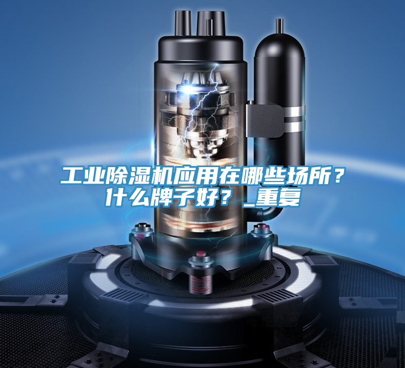 工業(yè)除濕機(jī)應(yīng)用在哪些場(chǎng)所？什么牌子好？_重復(fù)