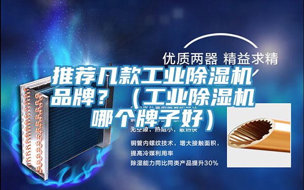 推薦幾款工業除濕機品牌?(工業除濕機哪個牌子好)