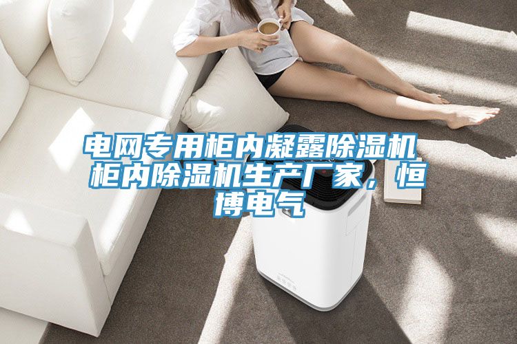 電網(wǎng)專用柜內凝露除濕機 柜內除濕機生產(chǎn)廠家,恒博電氣