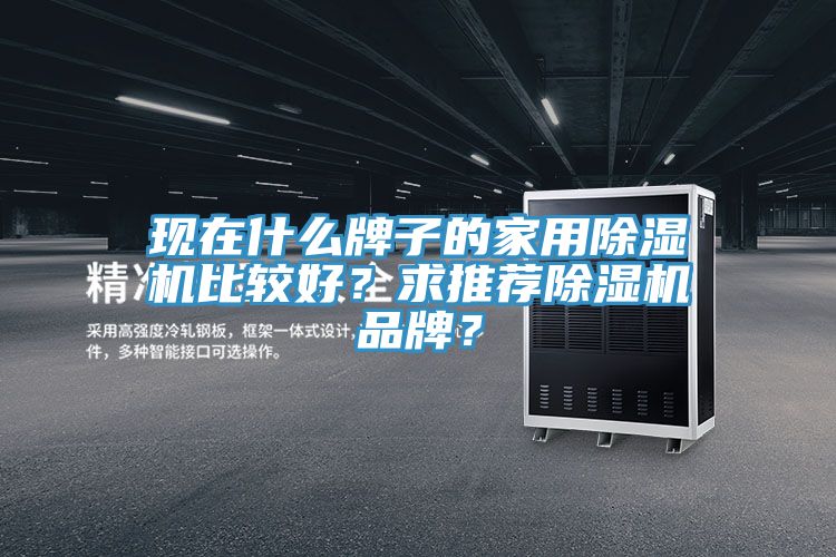 現在什么牌子的家用除濕機比較好？求推薦除濕機品牌？