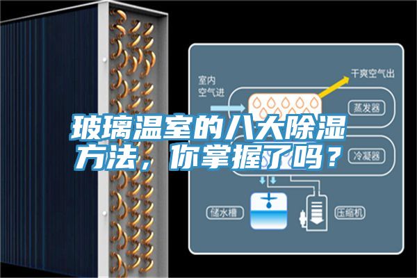 玻璃溫室的八大除濕方法，你掌握了嗎？