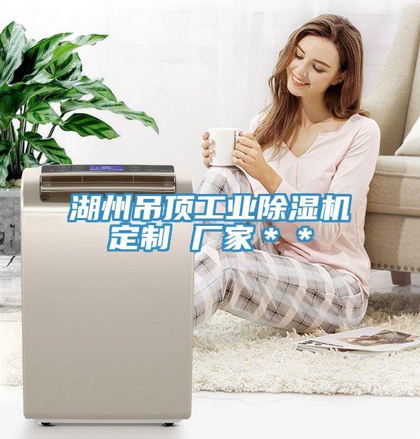 湖州吊頂工業除濕機定制 廠家**