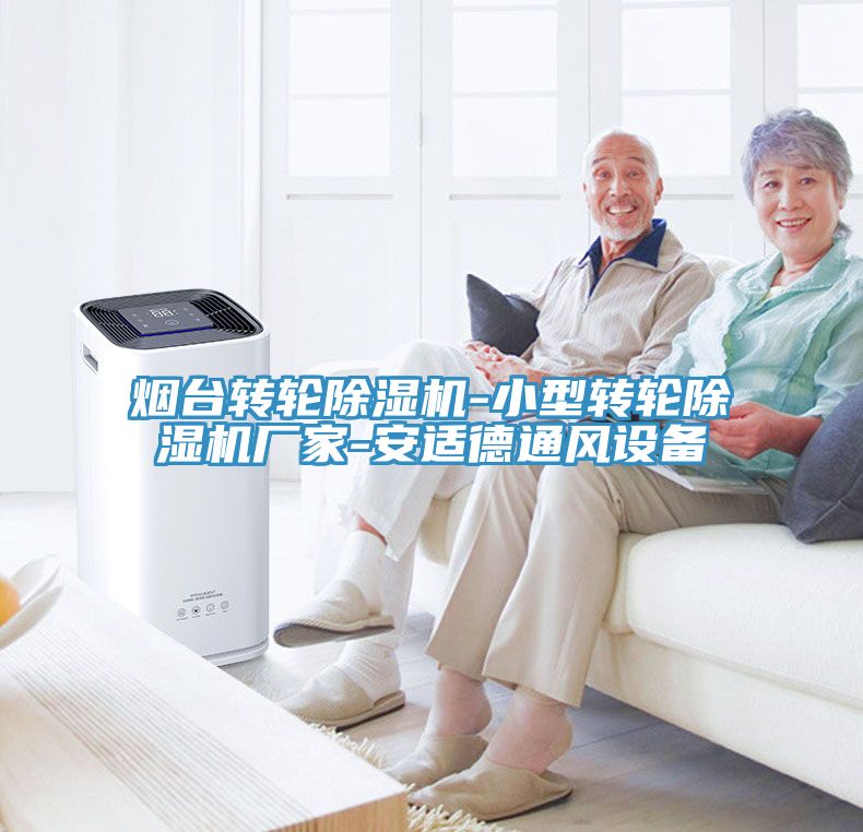 煙臺轉(zhuǎn)輪除濕機-小型轉(zhuǎn)輪除濕機廠家-安適德通風設備