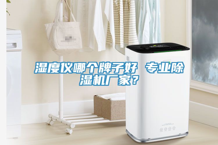 濕度儀哪個牌子好 專業除濕機廠家?