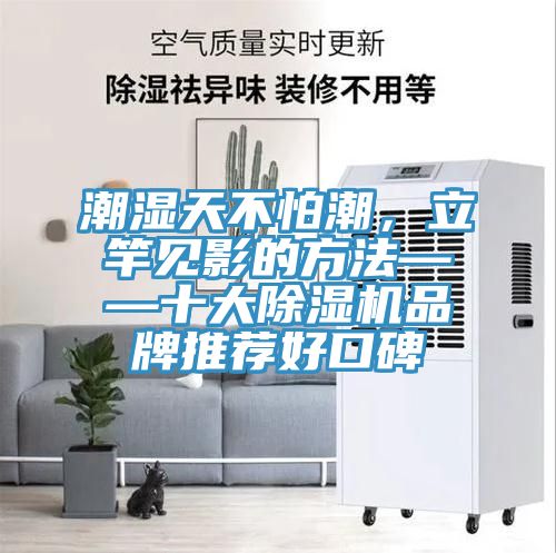 潮濕天不怕潮,立竿見影的方法——十大除濕機品牌推薦好口碑