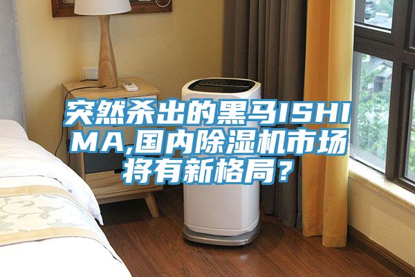 突然殺出的黑馬ISHIMA,國內除濕機市場將有新格局?