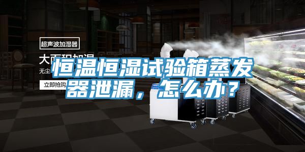 恒溫恒濕試驗(yàn)箱蒸發(fā)器泄漏,怎么辦?