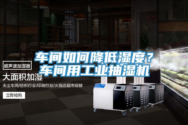 車(chē)間如何降低濕度？車(chē)間用工業(yè)抽濕機(jī)
