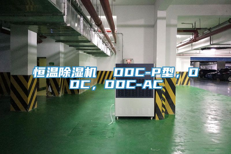 恒溫除濕機 DDC-P型,DDC,DDC-AC