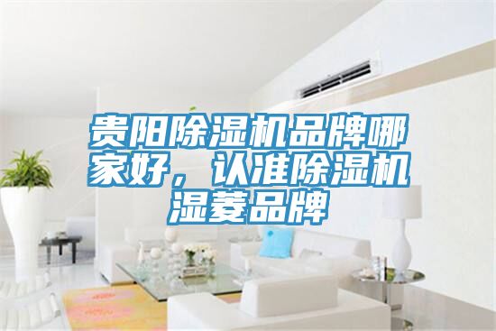 貴陽除濕機品牌哪家好，認準除濕機濕菱品牌