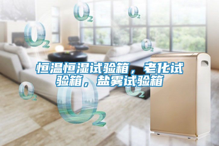 恒溫恒濕試驗箱，老化試驗箱，鹽霧試驗箱