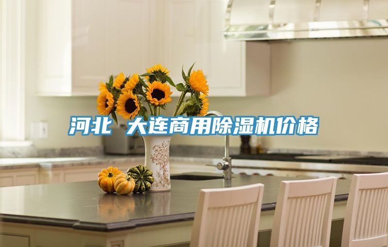 河北 大連商用除濕機(jī)價格