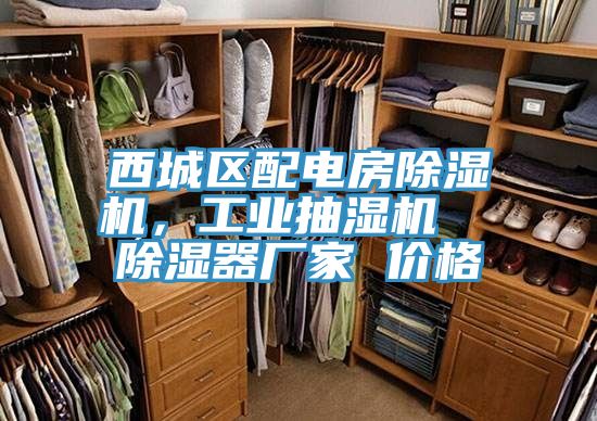 西城區(qū)配電房除濕機,工業(yè)抽濕機 除濕器廠家 價格