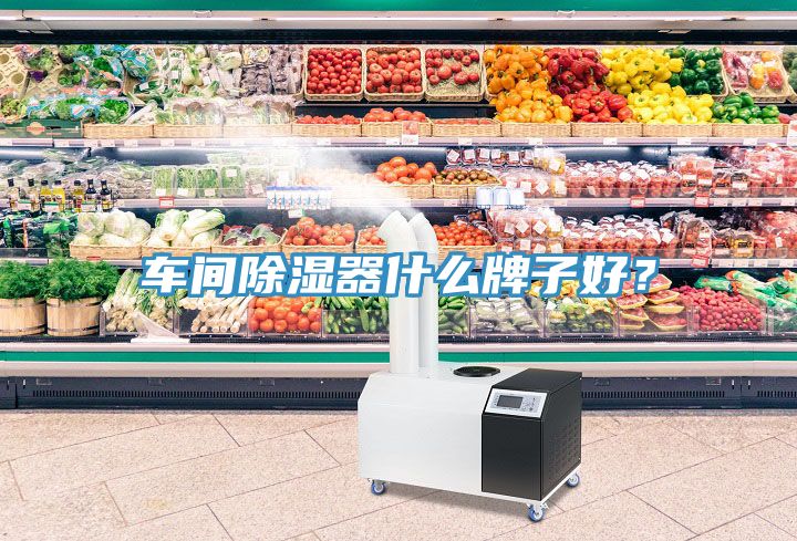 車間除濕器什么牌子好？