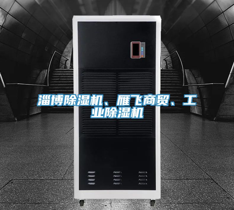 淄博除濕機(jī)、雁飛商貿(mào)、工業(yè)除濕機(jī)