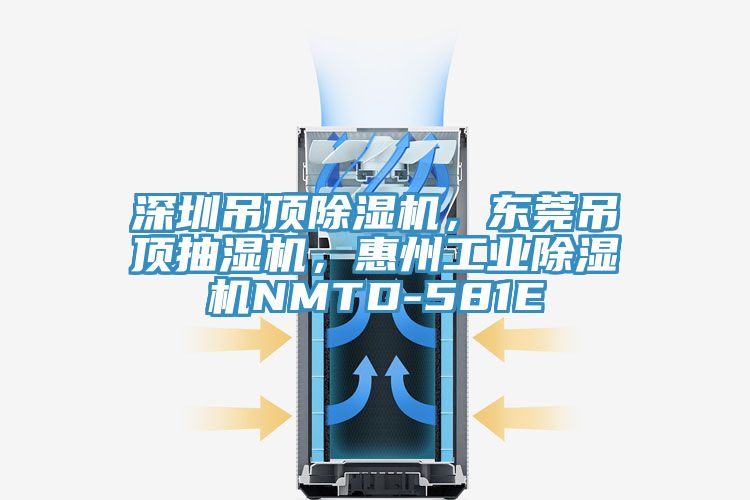 深圳吊頂除濕機(jī)，東莞吊頂抽濕機(jī)，惠州工業(yè)除濕機(jī)NMTD-581E