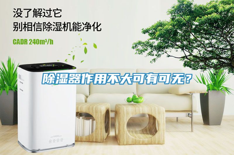 除濕器作用不大可有可無？