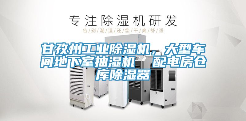 甘孜州工業除濕機，大型車間地下室抽濕機  配電房倉庫除濕器